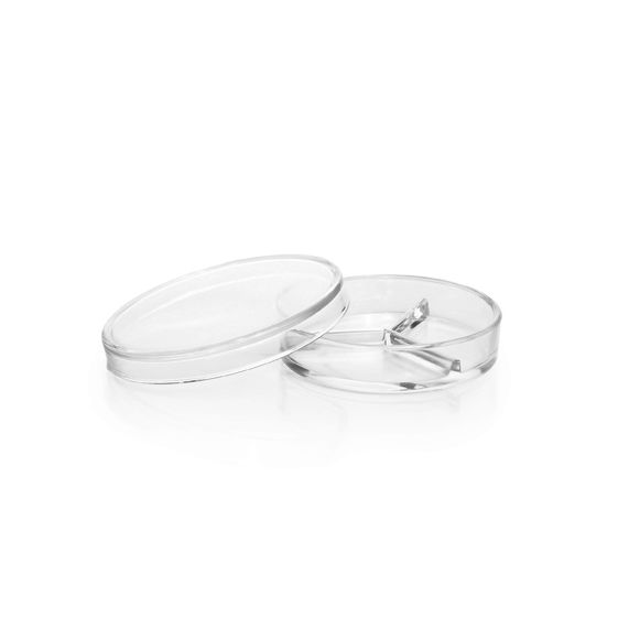 Duran Group DURAN Petri dish, three-sectional, 100 x 20 mm, 10 pc/PAK