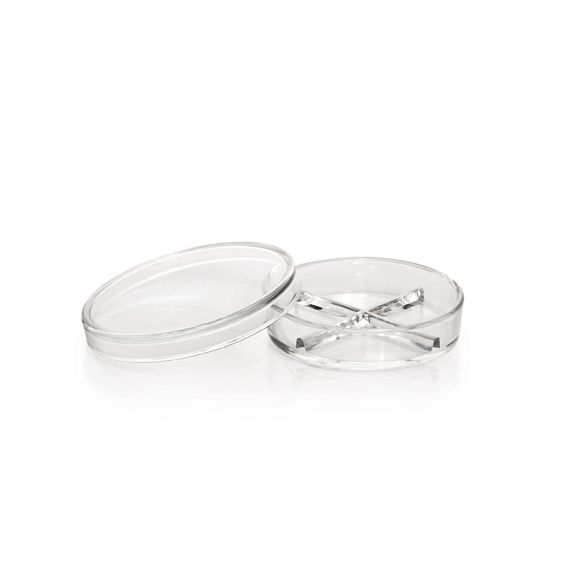 Duran Group DURAN Petri dish, four-sectional, 100 x 20 mm, 10 pc/PAK