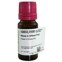 Product Image of RNase A (DNase-frei), 500 mg