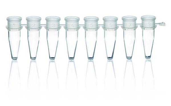Brand GmbH & Co. KG 8er-Strips PCR-Gefäße, PP, 0,2 ml, transparent, ohne Deckel, BIO-CERT PCR-Q, 125 St/Pkg