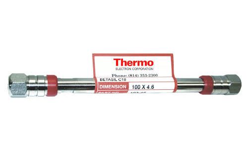 Thermo Fisher Scientific HPLC-Säule BetaSil Silica, 100 Å, 3 μm, 3 x 30 mm