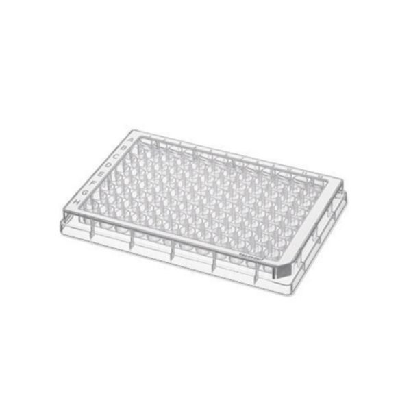 Eppendorf Microplate 96/U-PP, klare Wells, Umrandungsfarbe weiß, PCR clean, 80 Platten (5x 16 St.)