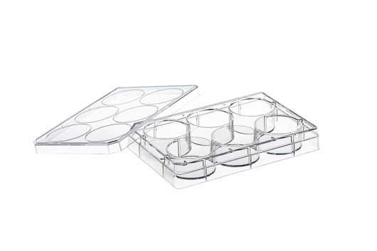 Greiner Bio-One Gewebekulturplatten, PS, mit Deckel, 6 well, mit Kondensation.ringen, transp., steril, 100/PAK