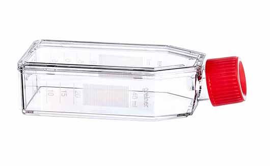 Greiner Bio-One Cell culture flask, PS, 50 ml, clear, screw cap, sterile, 20x10/PAK