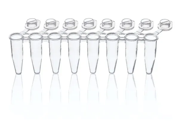 Brand GmbH & Co. KG PCR-Gefäß, PP, mit 3 Stegen, 8er, transparent, 0,2 ml, Standard für qPCR, BIO-CERT PCR QUALITY, 120 St/Pkg