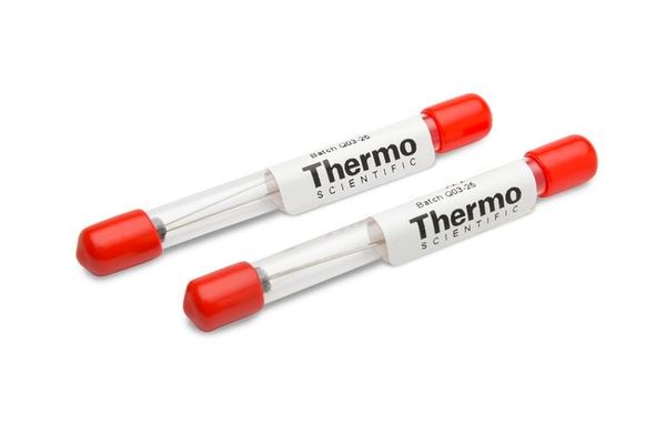Thermo Fisher Scientific GC Nadel Replacement für 36520050, 36520051 & 36520055. 2/PAK