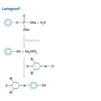 Product Image of Lactognost Phosphatase-Nachweis - Set, enthält Lactognost I, II und III, 1 Farbskala und Messlöffel