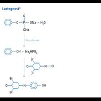 Lactognost Phosphatase-Nachweis - Set, enthält Lactognost I, II und III, 1 Farbskala und Messlöffel