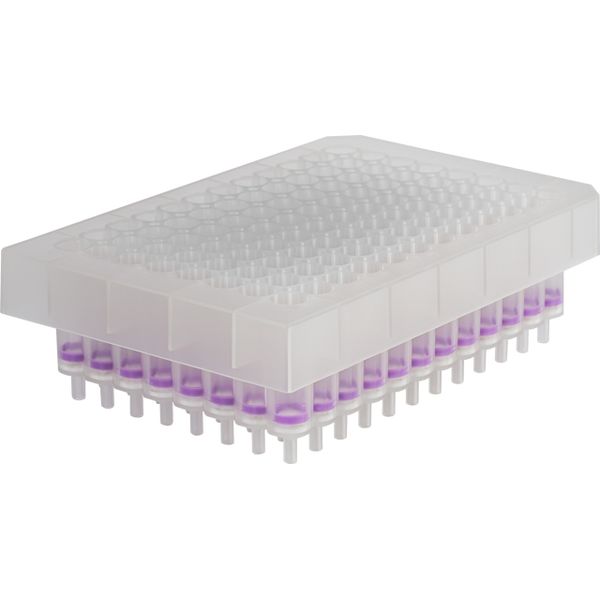 Macherey-Nagel NucleoSpin Plasmid Filter Plates 4 x 96-Well-Platten für die Klärung von Lysaten