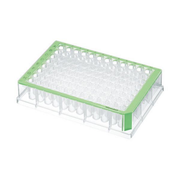 Eppendorf Deepwell Plate 96/500 μl, Standard, grün 40 St.