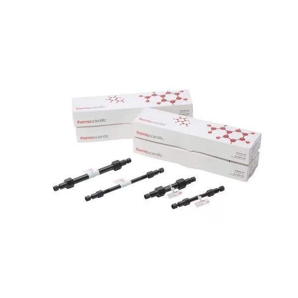 Thermo Fisher Scientific HPLC-Säule ProPac 3R SAX, 3 μm, 2 x 50 mm