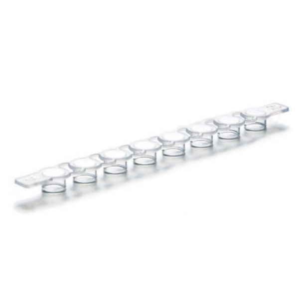 Eppendorf Cap Strips, 8-er Streifen flach, PCR clean, farblos, 10 x 12 Streifen/Pkg