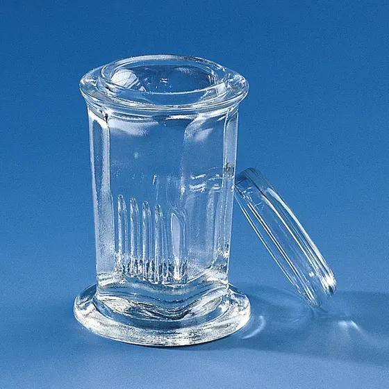 Brand GmbH & Co. KG Staining jar, soda-lime glass, Coplin type, round, with lid, for 10 slides 76x26 mm, 10 pc/PAK