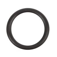 Product Image of O-Ring, Kalrez, for Liner Nut, 5 pc/PAK