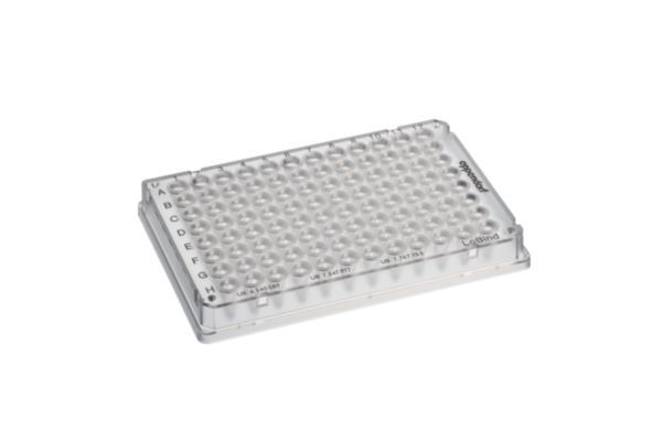 Eppendorf twin.tec PCR Plate 96 LoBind, skirted, farblos, 25 Stück