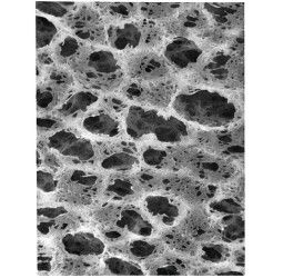 Pall Corporation Membranfilter, rund, Nylaflo, PA, 90 mm, 0,20 μm, 100/Pak