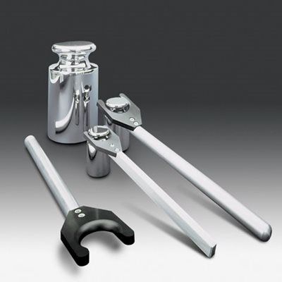 Sartorius Gewichtsgabel für 500 g