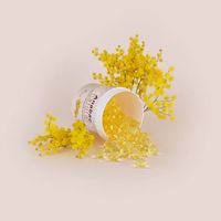 Product Image of Autoklaven-Deodorant Anabac Natural, Mimose, 50 Kapseln/Pkg
