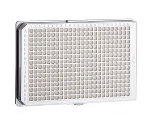 Greiner Bio-One Zellkultur Mikroplatte, 384 Well, PS, F-Boden, weiß, Abdeckplatte, TC, steril, 4 x 8 St/Pkg
