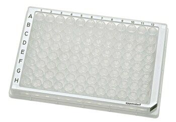 Eppendorf Microplate 384/V-PP, mit Barcode, PCR rein, def. Farbe (Wells farblos), 80 Platten