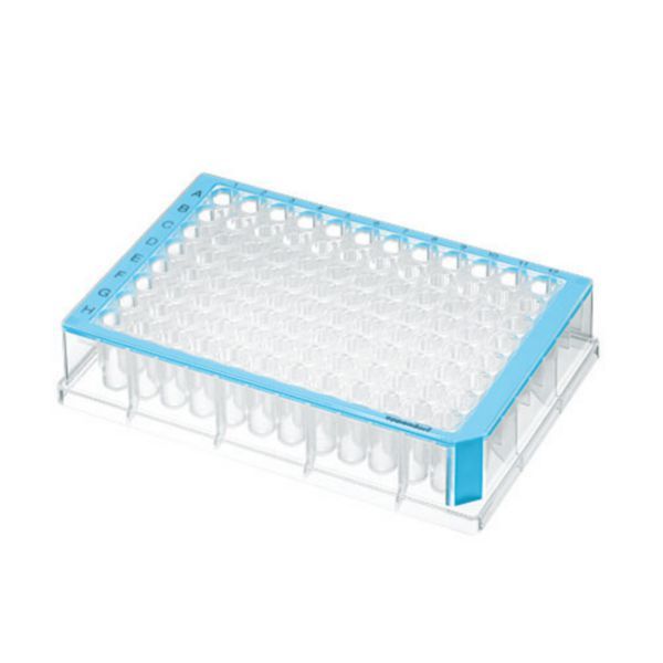 Eppendorf Deepwell Plate 96/500 μl, Standard, blau 40 St.