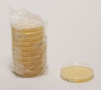 Merck Fertignährbodenplatte SDA (Sabouraud Dextrose Agar) mit LTHTh -LI, 03540E-20P, 90 mm ICR-Absetzplatte gefüllt mit 30 ml, 20 St/Pkg