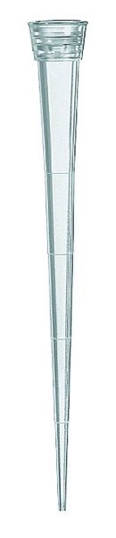 Brand GmbH & Co. KG Pipettenspitzen, palettiert, TipBox, 1 - 50 μl, steril, PP, farblos, BIO-CERT LH-Q, 10 x 96 St/Pkg