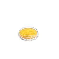 Product Image of Fertignährbodenplatte CASO-Agar mit LTHTh - ICR, 2283E-200P, 55 mm Kontaktplatte, 200 St/Pkg