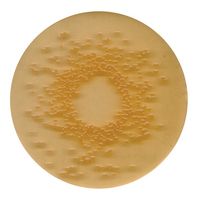 Merck DEV gelatin agar for microbiology, 500 g