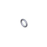 Product Image of O-Ring, Konduktiv, 7.1 x 1.6mm - ACQUITY QDa Detektor