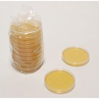 Product Image of Fertignährbodenplatte CASO-Agar mit LTHTh - ICR, 030826E-120P, 90 mm Sedimentations-Platte, 120 St/Pkg