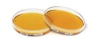 Merck Fertignährbodenplatte CASO-Agar + LT + Cephase - ICR, 03085E-120P, 90 mm ICR-Absetzplatte, 120 St/Pkg