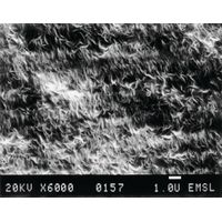 Product Image of Fluorotrans W Transfermembran 0.2µm 26cmx3.3M, 1 Rolle