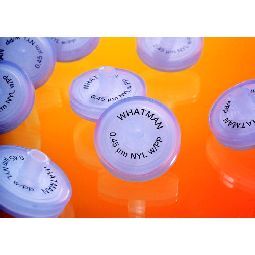 Whatman Syringe Filter, GD/XP, PVDF, 25 mm, 0.45 μm, 1500 pc/PAK