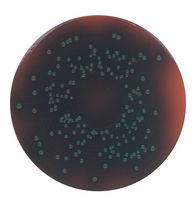 Merck PALCAM-Listeria-Selektivagar (Basis) nach VAN NETTEN et al. für die Mikrobiologie, 500 g