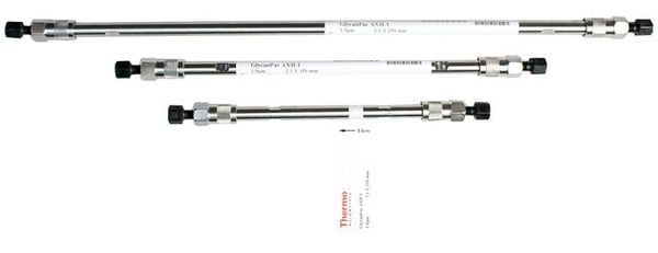 Thermo Fisher Scientific HPLC-Säule GlycanPac AXH-1, 175 Å, 1,9 μm, 2,1 x 100 mm