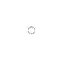 Product Image of O-Ring, Extraction Lens