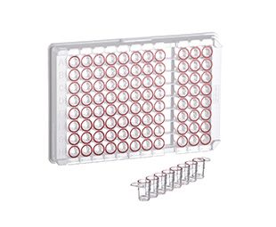 Greiner Bio-One Single-Break Streifenplatte, 12xC8, PS, C-Boden, MICROLON, hohe Bindung, transp., rot markierter Näpfchenrand, 10 x 10 St/Pkg