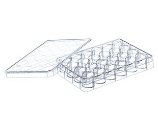 Greiner Bio-One MultiWell plates, PS, 24 well, lid with condensation rings, sterile, 100/PAK