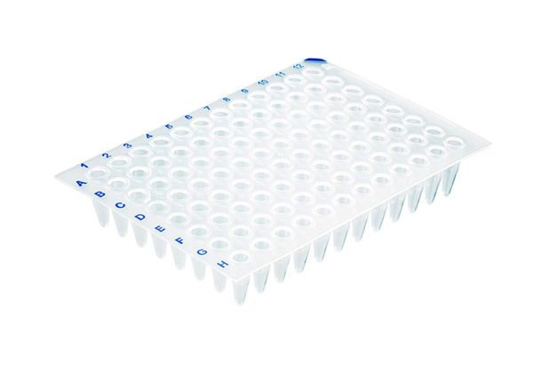 Brand GmbH & Co. KG PCR-Platte 96-well, PP, ohne Rahmen, Standard, 0,2 ml, transparent, BIO-CERT PCR-Q, 50 St/Pkg
