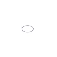 Product Image of O-Ring, Viton, 28 x 1mm - ACQUITY QDa Detektor