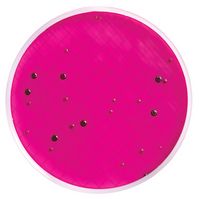 Millipore Milliflex-Kassette, vorgefüllt mit m-Endo-LES-Agar