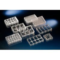 Product Image of Multi-Dish, 8-well, rectangular, PS, Nunclon, transparent, sterile, with lid, 10 pc/PAK