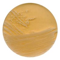 Merck Tryptic soy agar with polysorbate 80 and lecithin for microbiology, 500 g