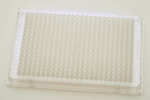 Eppendorf twin.tec PCR Plate 384, (Wells farblos) farblos, 300 Stück