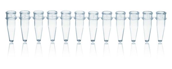 Brand GmbH & Co. KG PCR-Strips, PP, 0,2 ml, 12er, farblos, ohne Deckel, BIO-CERT PCR-Q, 80 St/Pkg