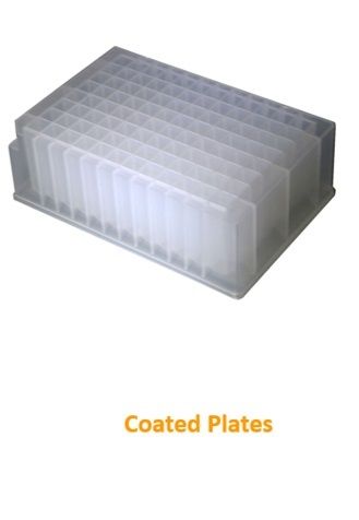 Chromatography Research Supplies Pure-Pass, 384-Well-Platten, glasbeschichtet, PP, V-Boden, Mikrotiter, 10 St/Pkg