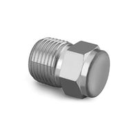 Product Image of End Pipe Plug 1/4