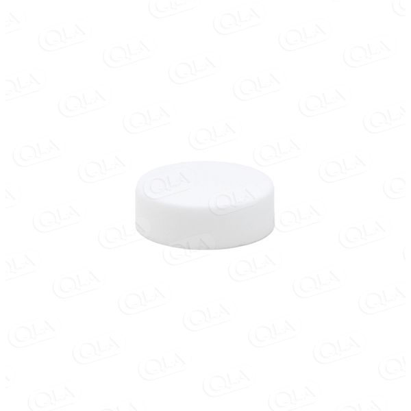 QLA 10 Micron Filter Disks for Twist Lock Probe, UHMW Polyethylene, Distek Compatible, 1000/PAK
