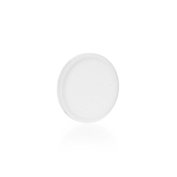 Duran Group Filterplatten/DURAN, D. 50 mm, Por. 1 mit Glasrand